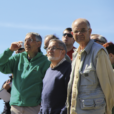 medium/medium-Pirineos-176-im007-gf5.png