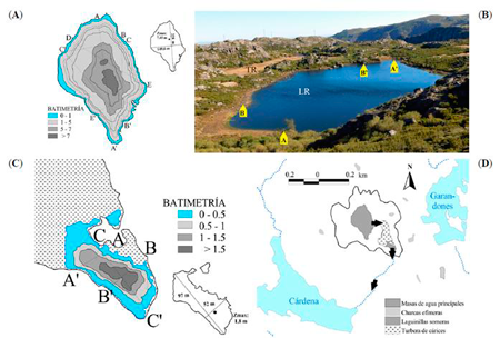 medium/medium-Pirineos-176-e063-gf13.png