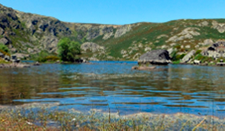 medium/medium-Pirineos-176-e063-i011.png