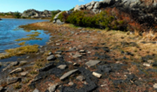 medium/medium-Pirineos-176-e063-i015.png