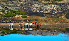 medium/medium-Pirineos-176-e063-i016.png