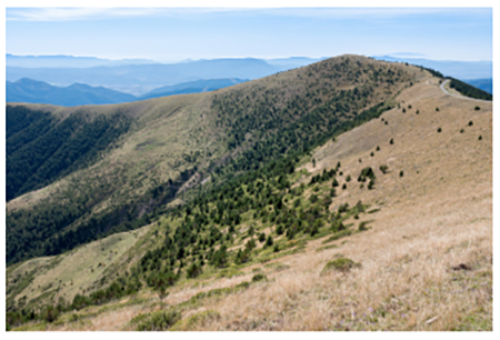 medium/medium-Pirineos-177-e072-gf7.png