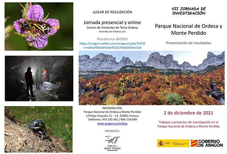 medium/medium-Pirineos-177-not002-gf3.png