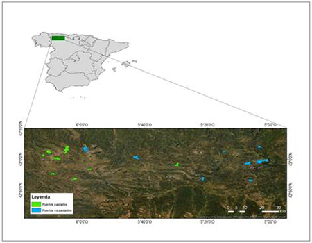 medium/medium-Pirineos-177-e074-gf1.png