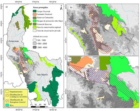 medium/medium-Pirineos-178-e078-gf1.png