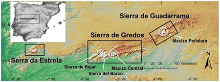 medium/medium-Pirineos-178-e076-gf1.png