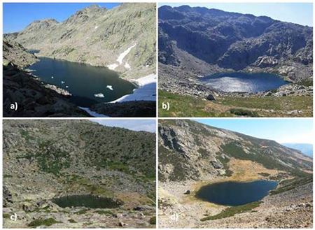 medium/medium-Pirineos-178-e076-gf4.png