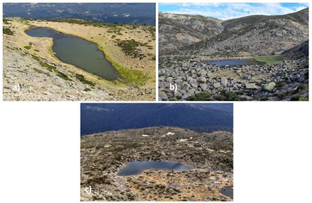 medium/medium-Pirineos-178-e076-gf14.png