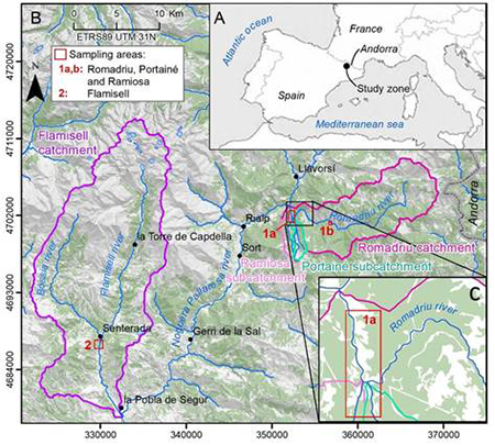 medium/medium-Pirineos-178-e080-gf1.png