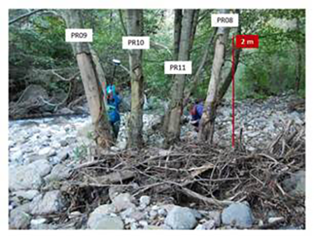 medium/medium-Pirineos-178-e080-gf2.png