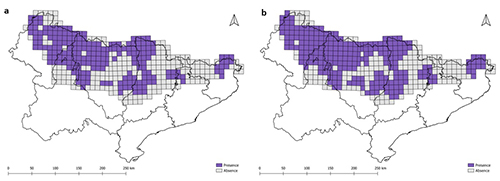 Mapas que muestran la distribución espacial de dos variables categóricas en una región con áreas sombreadas en tonos morados y grises para indicar diferentes categorías.

Descripción generada con IA