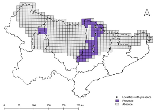 Mapa que muestra la presencia y ausencia de una especie o fenómeno en diferentes cuadrículas dentro de una región delimitada, con áreas de presencia destacadas en color morado y ausencia en gris claro.

Descripción generada con IA